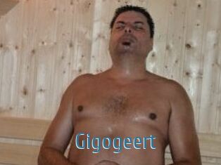 Gigogeert