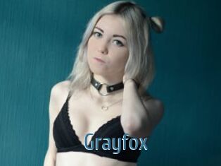 Grayfox