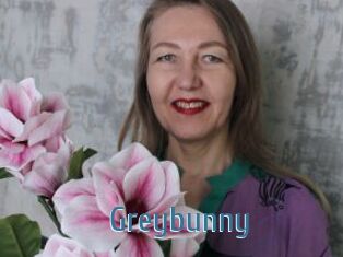 Greybunny