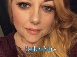 HarlowMae