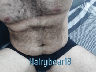 Hairybear18