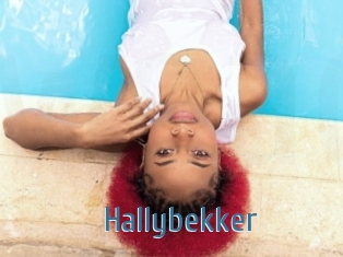 Hallybekker