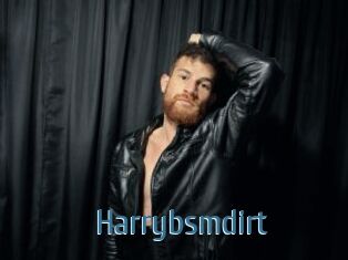 Harrybsmdirt