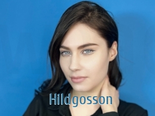 Hildgosson