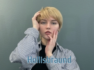 Hollisbraund