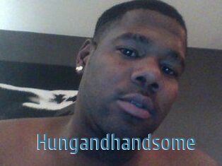 Hungandhandsome
