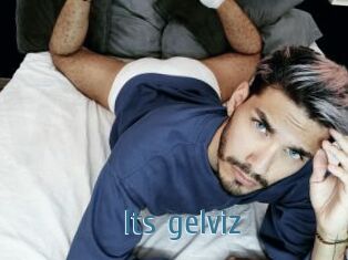 Its_gelviz