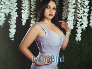 IvanaBird