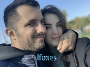 Ifoxes
