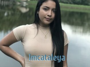 Imcataleya