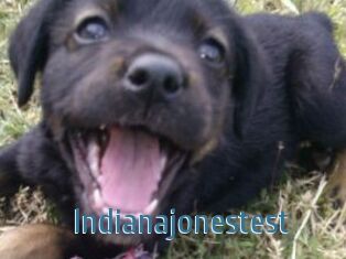 Indianajonestest