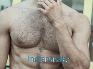 Indiansnake