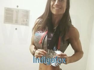 Indigofox