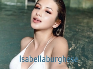 Isabellaburghese