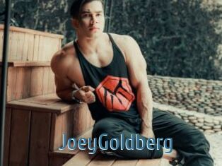 JoeyGoldberg