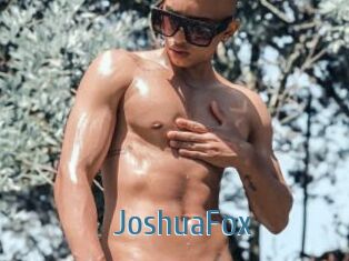 JoshuaFox