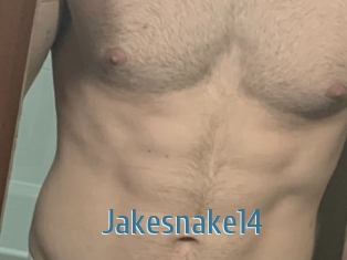Jakesnake14