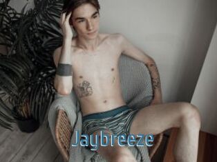 Jaybreeze