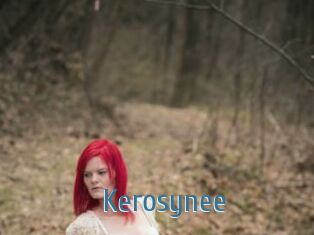 Kerosynee