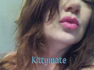 Kittymate