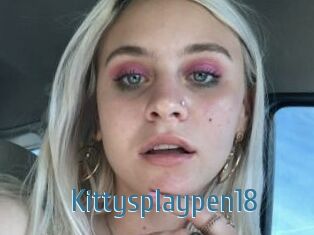 Kittysplaypen18