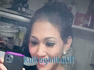 Kulkoginikutifi