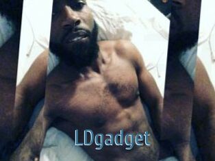 LDgadget