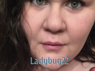 Ladybug22