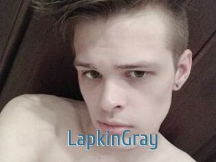 LapkinGray
