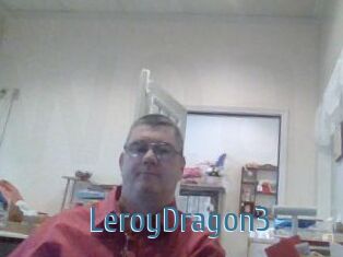 LeroyDragon3