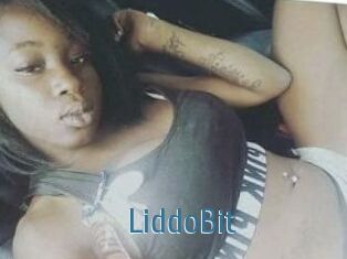 LiddoBit