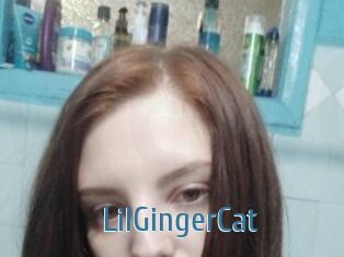 LilGingerCat