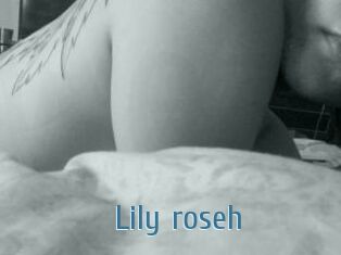 Lily_roseh