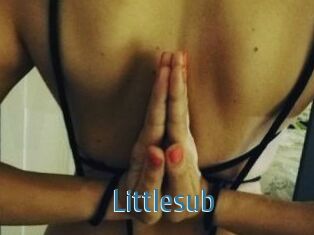 Littlesub