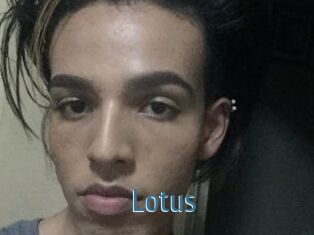 Lotus