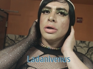 Ladanivenus