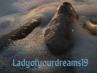 Ladyofyourdreams19