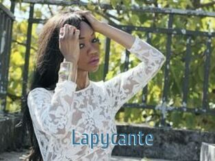 Lapycante