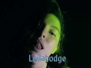 Leilabodge
