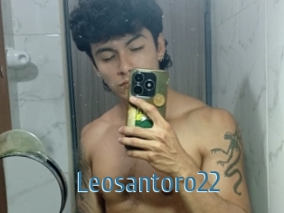 Leosantoro22