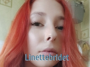 Linettebridet
