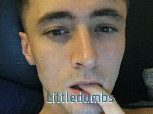 Littledumbs