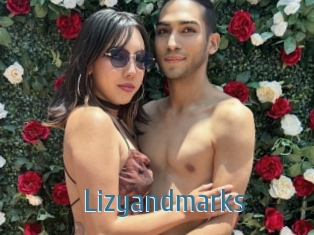 Lizyandmarks