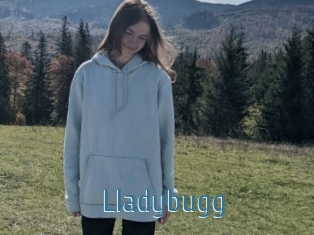 Lladybugg