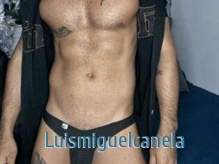 Luismiguelcanela