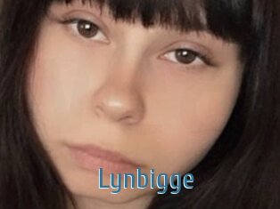 Lynbigge