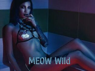 MEOW_Wild
