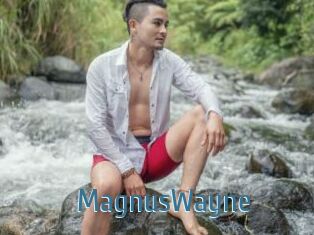 MagnusWayne