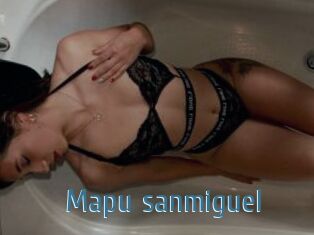 Mapu_sanmiguel