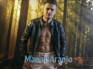 MarcusAranjo